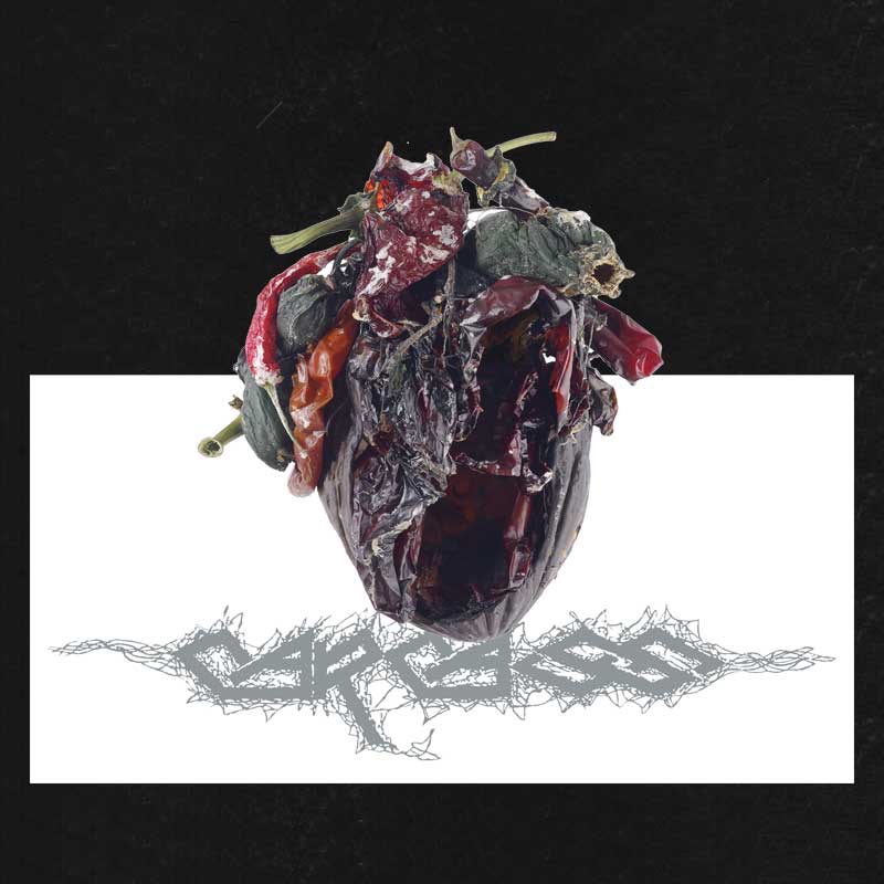 Torn Arteries Pop Up LP limited vinyl edition